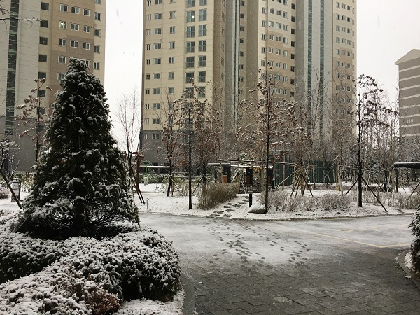 韓国初雪
